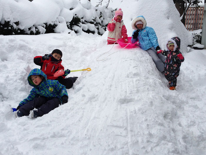 除雪機で作った雪山で５人の孫達がソリ遊び。